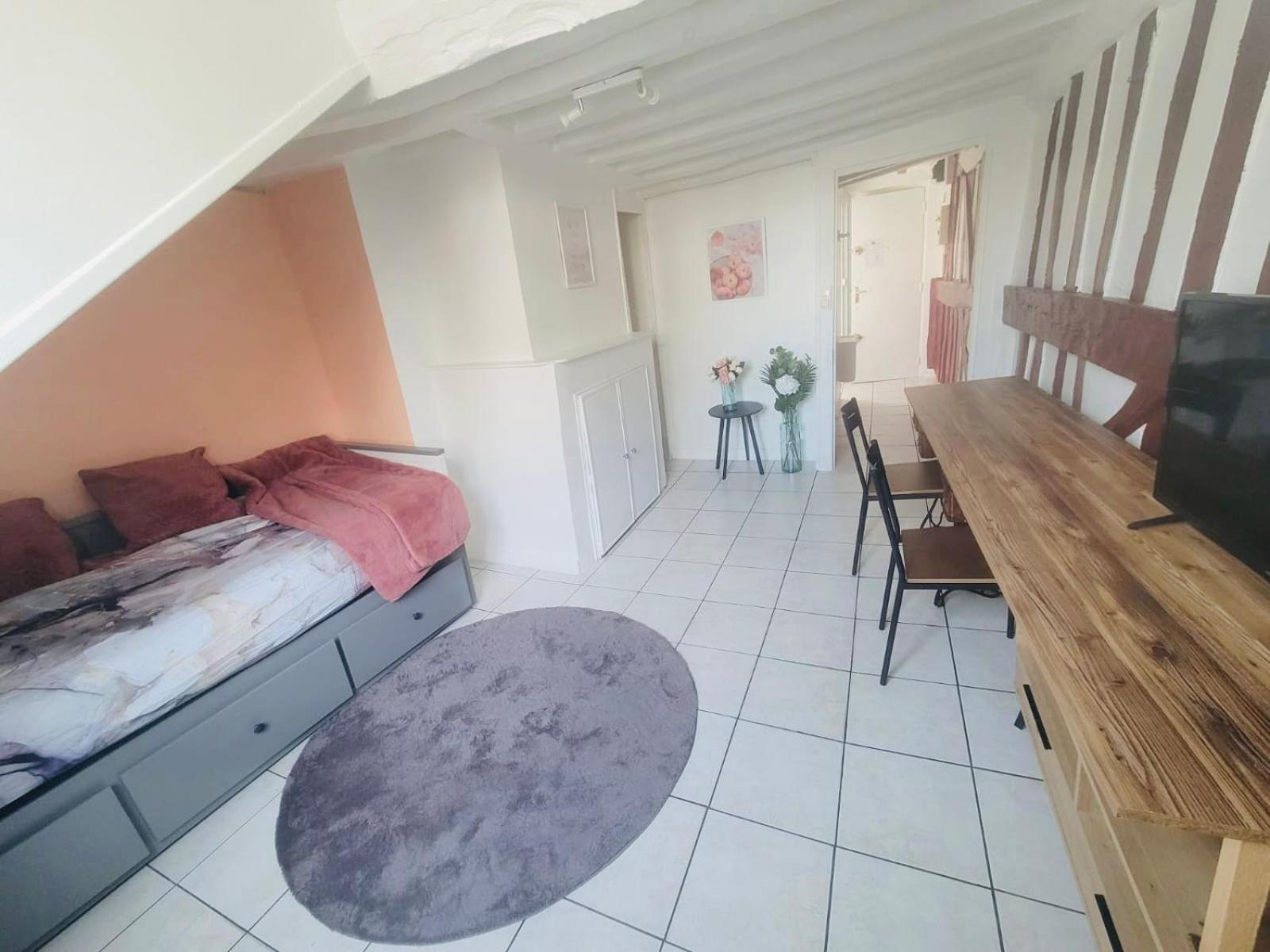 Appart Chu Rouen Lapeche Topskyhome 외부 사진